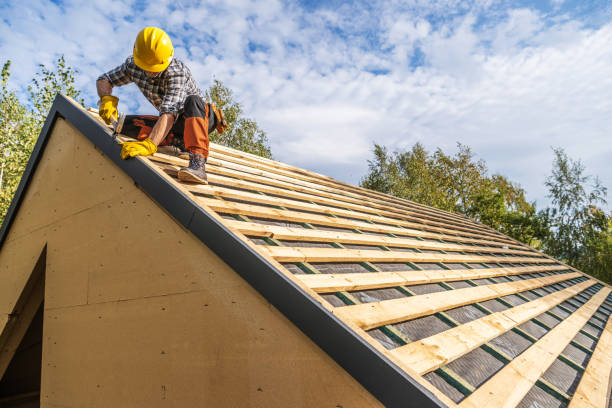 Best Storm Damage Roof Repair  in Carrollton, KY